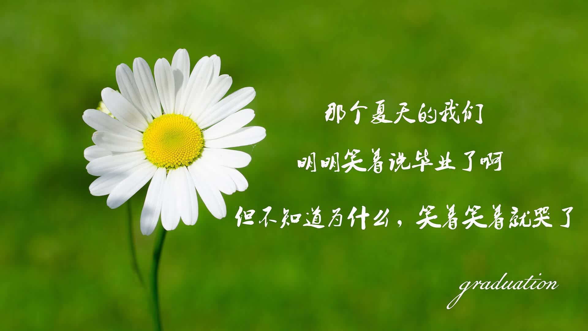 人工智能软件技术交流会议记录（ai人工智能交流座谈会标）